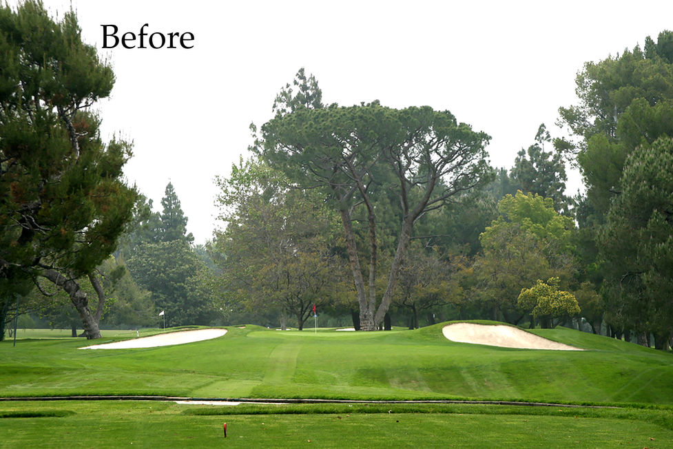 #3_1_Lakeside #3_before_0003.jpg