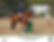 11035287-Medium-Digital-Photo-Download-2500x1944.jpg