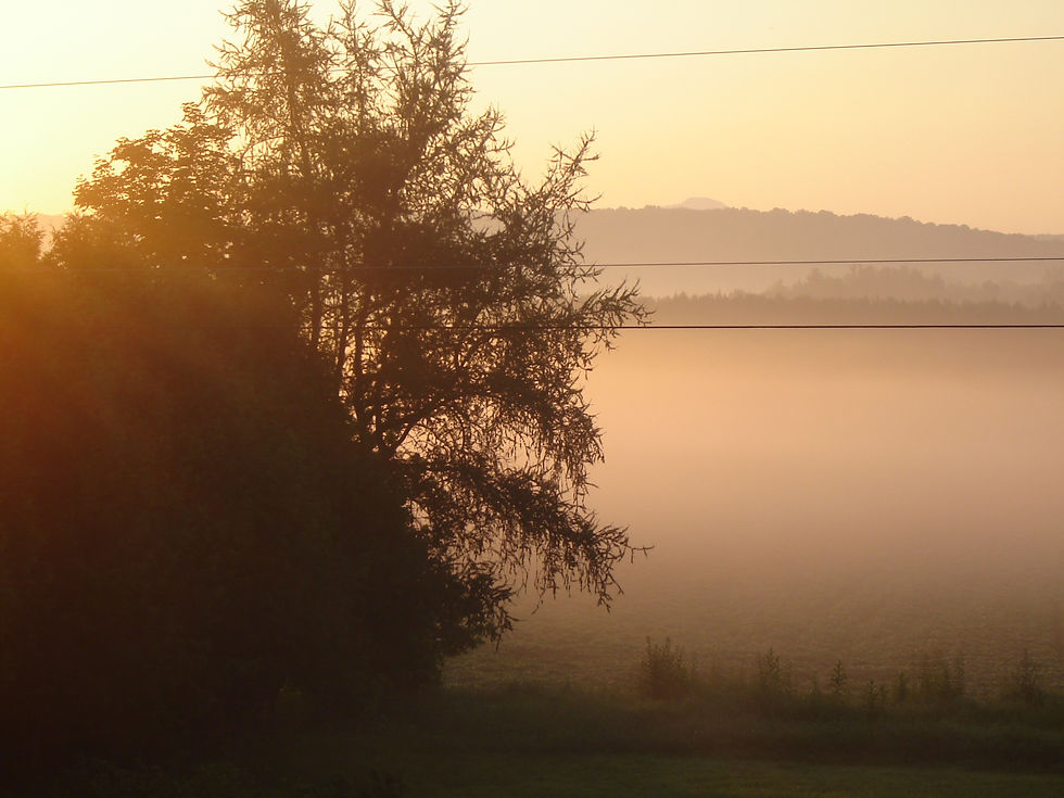 Brume matinale