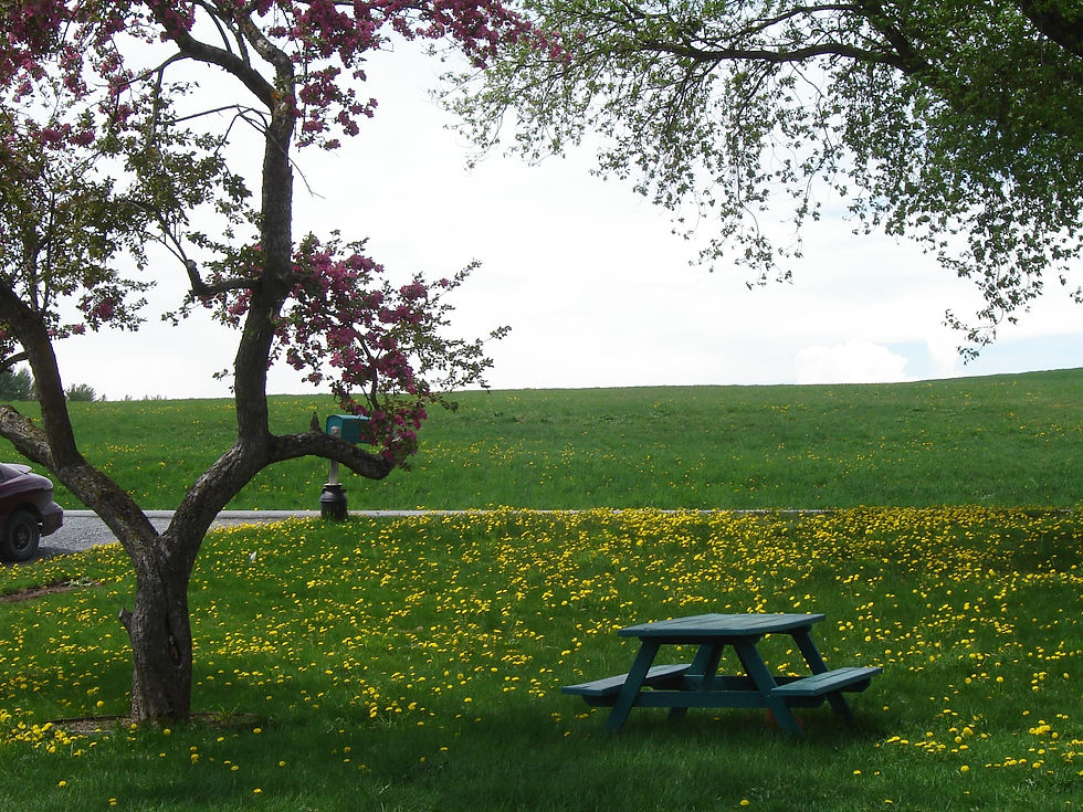 Jardin détente
