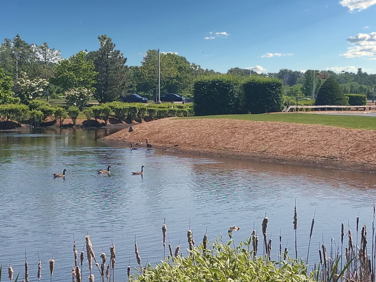 Design Professionals Connecticut Broadridge