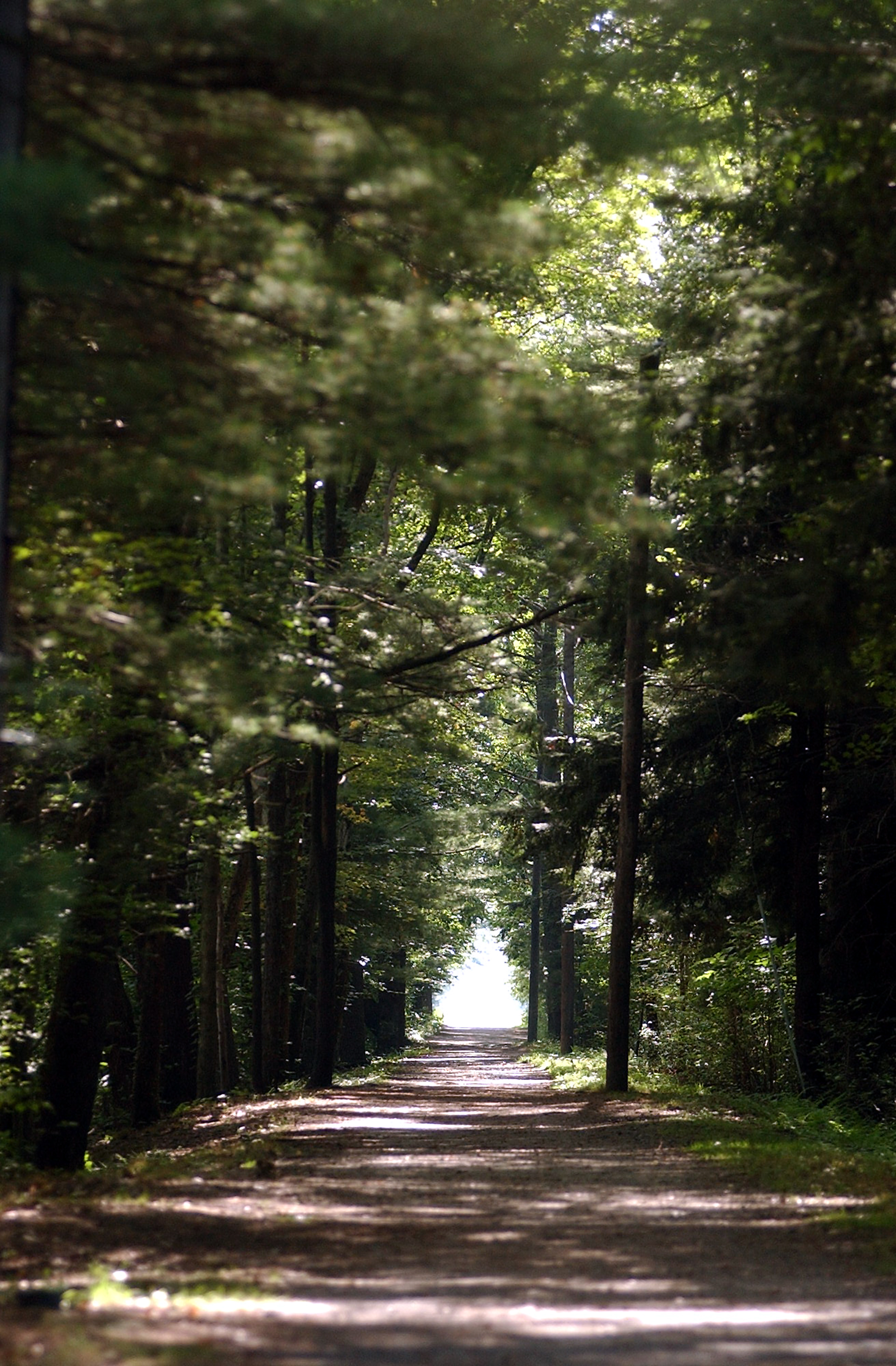 Stratton Brook State Park
