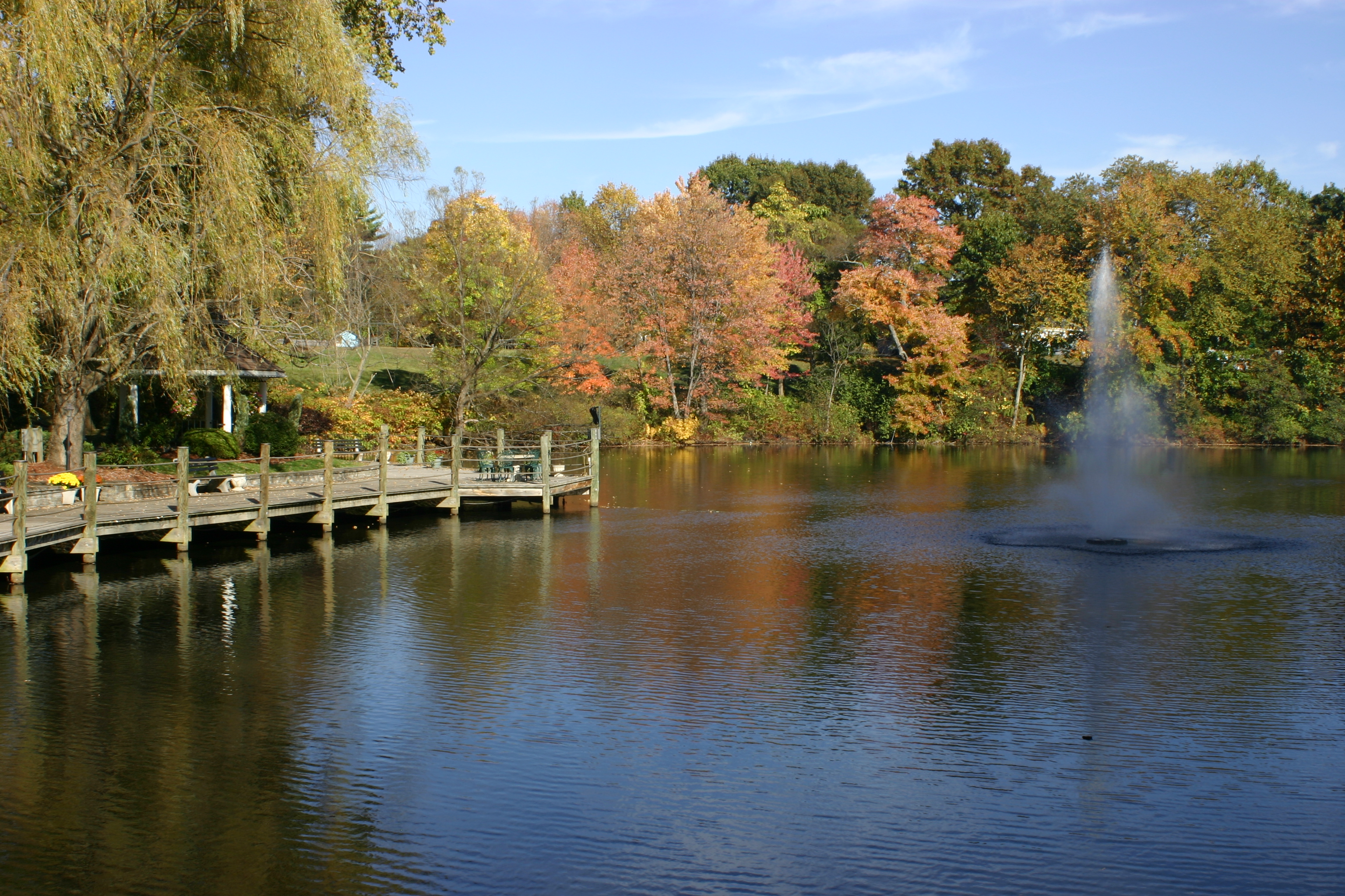 Mill on the River