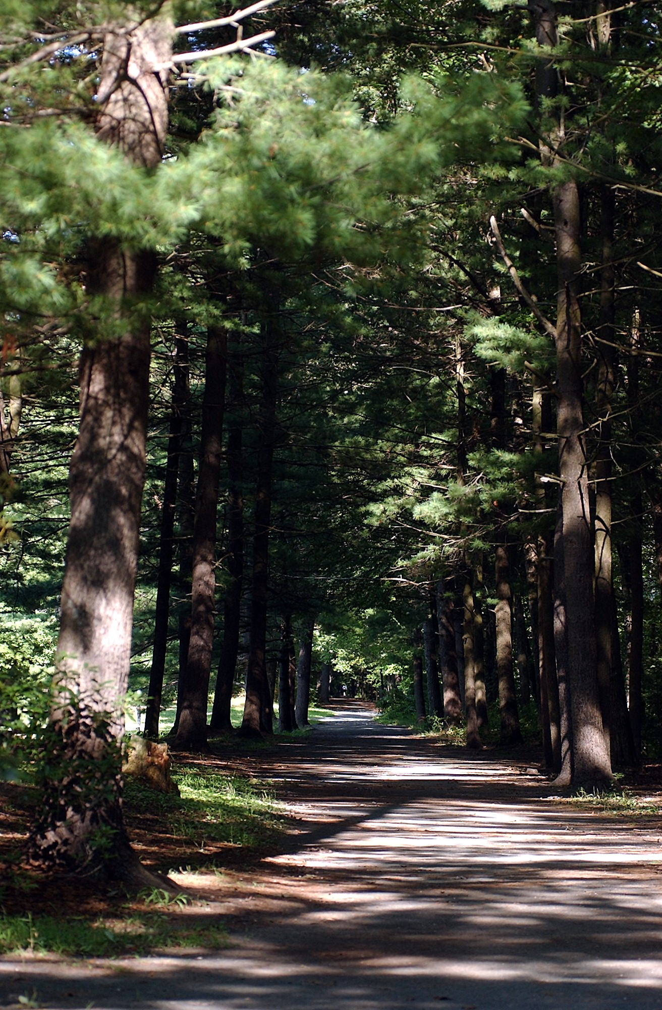 Stratton Brook State Park