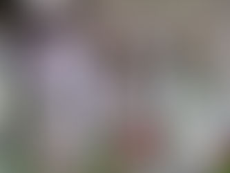 Sky Hairin tontut vartiossa joulun aikaan – katse kohti uutta vuotta - Sky Hair jouluaika