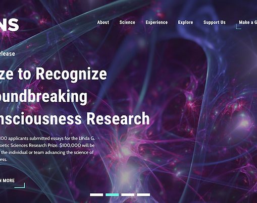 Finding an Agency to Rebuild IONS' Website