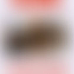 On vous prépare une année 2026, avec pleins de rencontres, de démonstrations, d'expos, d'échanges.