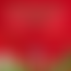 Retrouvez-moi au marché de Noël de Saint Germain En Laye le 13 Decembre 2025 a la place Michel Pericard a partir de 11H00 a 18H00 Venez decouvtir mes nouvelles creations