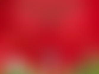 Nous sommes prêtes !! Retrouvez-nous au marché de Noël de Saint Germain En Laye aujourd'hui sur la place Michel Pericard jusqu'à 18H00.