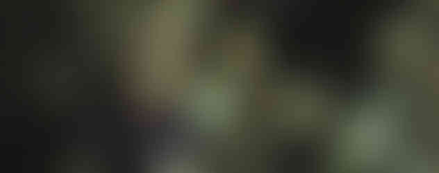 From The Time Of The Dolls... To The Time Of The Giants - Nouveau projet Composition de la bande originale du film d'art de Benoît Lelièvre sur l'œuvre de l'artiste chinois Ya ping Fan. Nicolas Dubut a débuté sa carrière en 2009 en composant sa première bande originale pour le film ANTEFACTS, réalisé par Patrick O'blin. Sa collaboration avec Rémi Hoffmann a rapidement évoluée, menant à la création de la musique pour le film LES SEIGNEURS D'OUTRE MONDE qui a été sélectionnée dans plusieurs festivals internationaux en 2017. Au fil des années, il a réussi à diversifier son répertoire avec des compositions pour le théâtre, la publicité et les jeux vidéo. Aujourd'hui, Nicolas est reconnu pour ses contributions notables à de nombreux longs métrages, courts métrages, documents et spectacles. Les moments forts de sa carrière incluent plusieurs films avec la réalisatrice Sophie Attelann : HIKIKOMORI (2021) avec Karine Vantalon et Colette Roche (Sélection officielle au festival international du film fantastique de Menton 2023) ; LA ROBE NOIRE avec Isabelle Menal (2021) ; 20 ANS (2021) avec Julie Toupet ; JUSTE UNE FEMME (2021) avec Sylvia Fasolo. FROM THE TIME OF THE DOLLS... TO THE TIME OF THE GIANTS (2017) de Benoît Lelièvre pour l'artiste Fan Yaping ; D.S.I de Thomas Khawam et Sébastien Baccala (2022) avec Thomas Khawam, Aurore Planas, Pierre André, Laurent Leca, Garance Teillet et Frederic Souterelle (Marché de film du Festival de Cannes 2023 et prix du meilleur réalisateur au London Dirctor Awards en 2024) ; KIELI BI (2019) (Sélection officielle au Festival de Cannes Short Film Corner 2020) et BAQSY (2023) de Dana Mussa et Alexander Murphy (Sélection officielle au MOV’IN Cannes 2023 et ai InShadow Festival 2024) ; LIFE (2024) de Dragan Nikolic avec Natacha Régnier, Marie-Christine Barrault et Mogamed Bechiev.