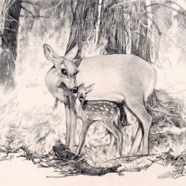 skarlat Rita Kortshok - Artiste Peintre - Au fil de l'art - 13 route de Chatou - 78420 Carrières-sur-Seine - Née en 1979 en Hongrie, diplômée de l’école des Beaux Arts de Pécs, Hongrie, puis élève à l’école des BeauxArts Zoltan Schatz à Budapest, j’ai vécu en Hongrie, Transylvanie (Roumanie). Je me suis installée en France et j’ai ouvert mon atelier à Carrières-sur-Seine en 2016. Je dessine depuis toujours, j’ai développé ma technique et mon style autour du dessin au crayon graphite.