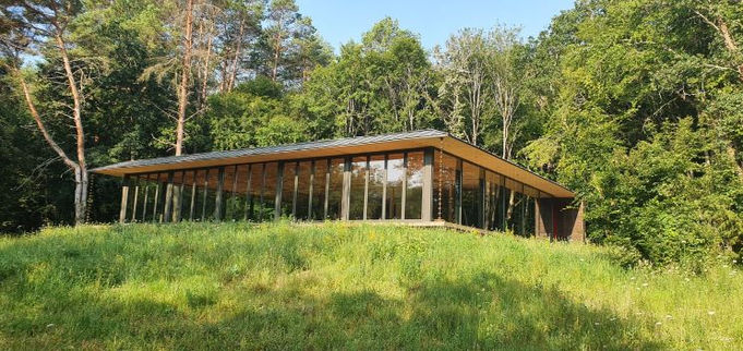 DANA MUSSA Danseuse, chorégraphe et coach Fondatrice de l'école CHANCE TO DANCE Diplômée et certifiée de plusieurs formations, depuis 14 ans, Dana a formé plusieurs centaines d'élèves adultes, puis prépare Diplômée et certifiée de plusieurs formations depuis 15 ans, Dana a formé plusieurs centaines d'élèves adultes et a préparée des enfants pour l'École de l'Opéra de Paris. Elle est également coach privé de célèbres artistes telles que Natalia Vodianova Arnault (mannequin et philanthrope), Laurence Equilbey (chef d'orchestre), Shani Diluka (pianiste) et bien d'autres... Ainsi que des hommes et des femmes d'affaires, des politiciens, des ambassadeurs, des avocats et des médecins.  Créatrice du style Ethno Ballet et sa propre méthode de Stretching, Dana enseigne ces deux disciplines en plus de la danse classique. Danseuse et chorégraphe, Dana est arrivée finaliste de l'émission télé "La France a un incroyable talent" en ayant le golden buzz avec sa performance Chance to dance qui exprime la liberté d'expression corporelle dans le monde entier, surtout dans les pays où la danse n'est pas très présente, voire même interdite. Son rêve c'est de permettre aux gens de retrouver la joie d'avoir un corps souple, tonique et mobile quelque soit leur âge et niveaux.