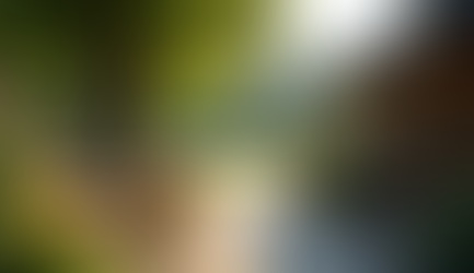 Exploring Mindfulness and Art in Nature at James's Cafe in Nairn