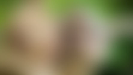 Administrando a falta de sentido