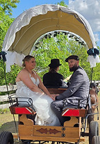20241026_152425_edited.jpg
