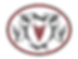 vSCR Transparent