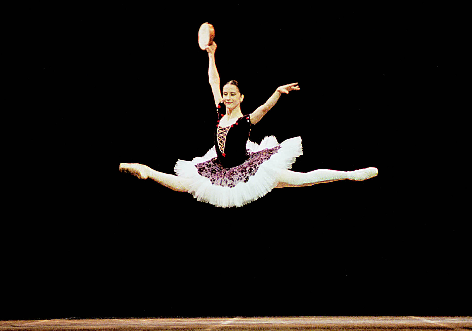 Cecília Kerche