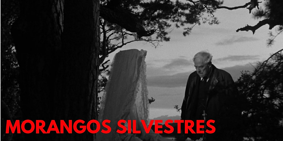 Sessão 07/08 20h