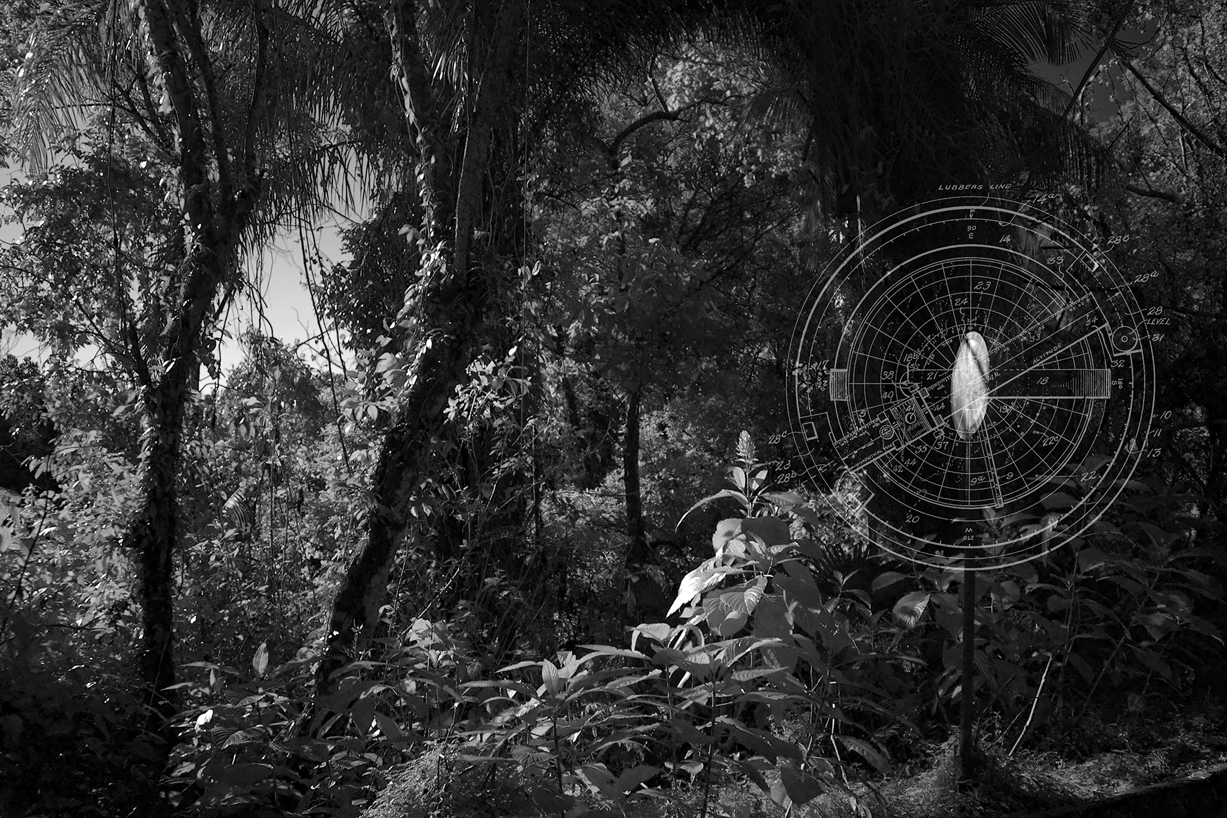 Coisas luminosas nº10