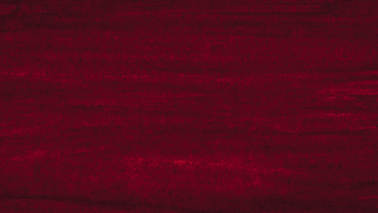 Maroon pattern.jpeg