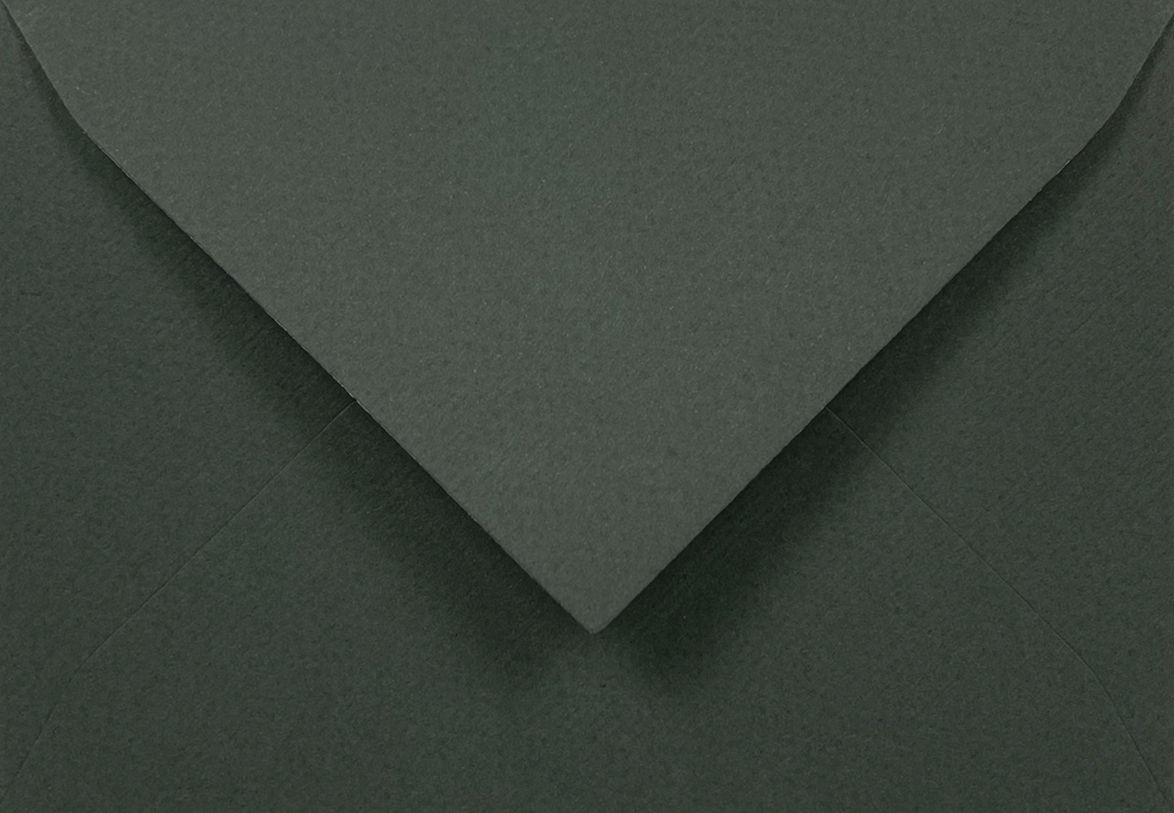 PLIC B6 VERDE PĂDURE