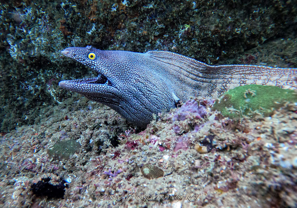 GOPR0340.JPG