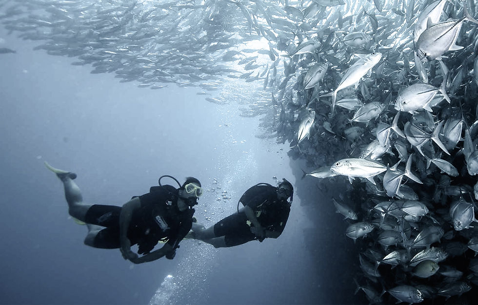 Scuba-Diving-La-Corvetena-OCEANO-ADVENTURES-SAYULITA-1_edited.jpg