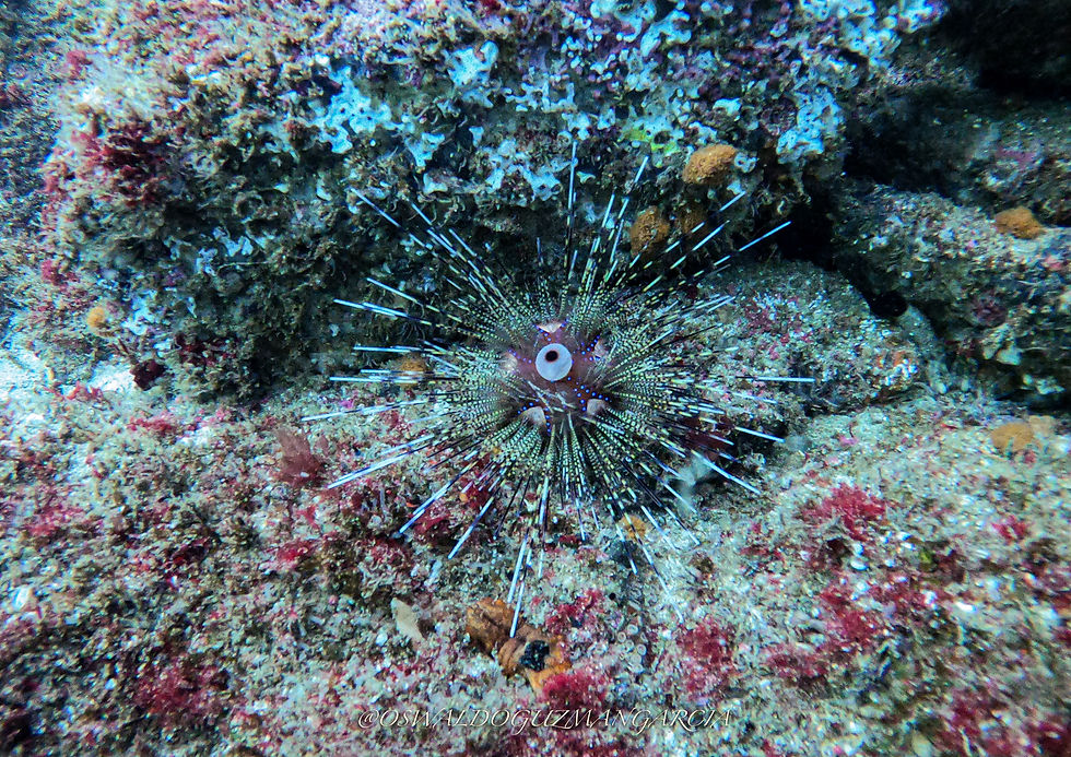 GOPR0287.JPG