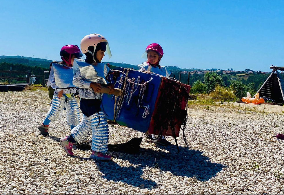Naterra Activities