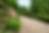 Scenic Garden Countryside Retreat Tranquil Garden Setting North Wales Landscape Garden Inspiration Peaceful Escape Wels