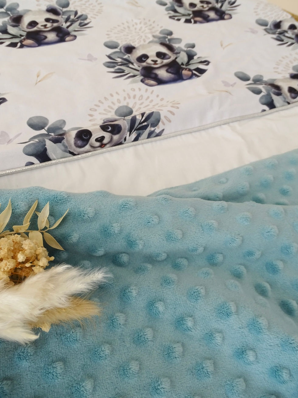 Miniature : Couverture naissance Panda