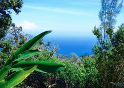32 acres Kapulena