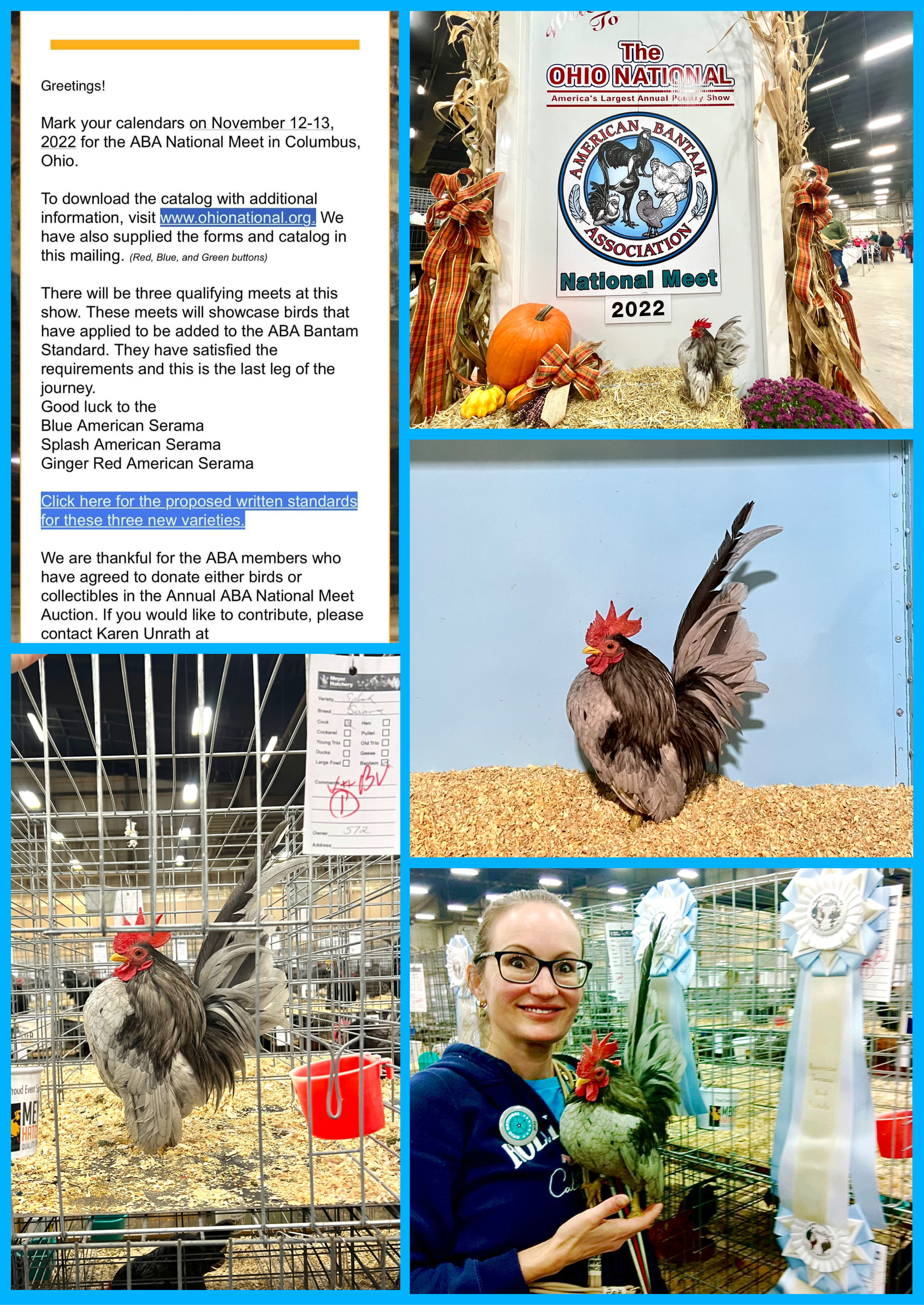 Young In Cage Show quality SPLASH Pair Available