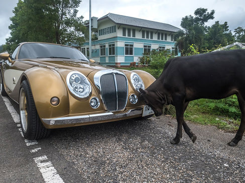 Unexpected Thailand – Odd & Fun Photos