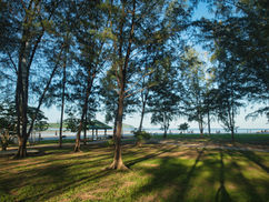Saphan Hin