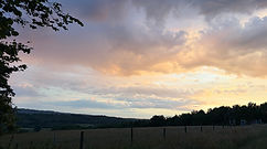 IMG_9751.jpeg