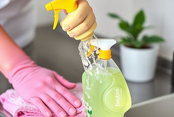 eco friendly cleaning.jpg