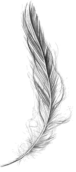 Plume Feather 2