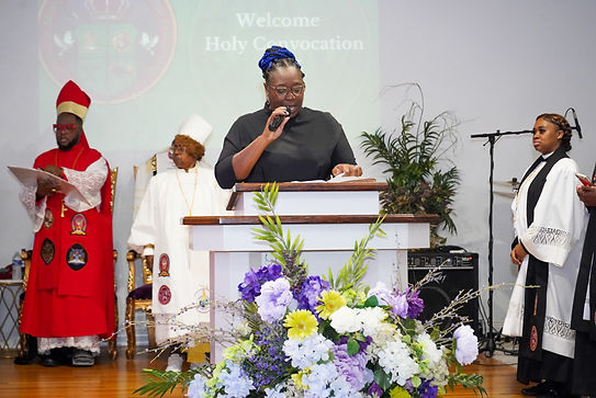 Copy of DSC04129.jpg