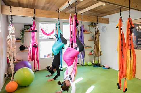 silksuspension