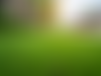 Boost Your Property’s Appeal with Expert Landscaping