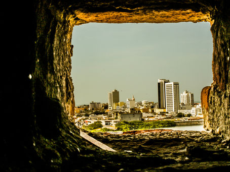 EL ARTE DE LA MIRADA 