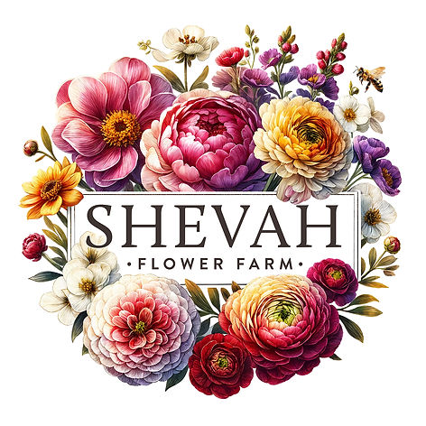 Shevah Flower Farm, locally Grown Cut Flowers In Brooksville