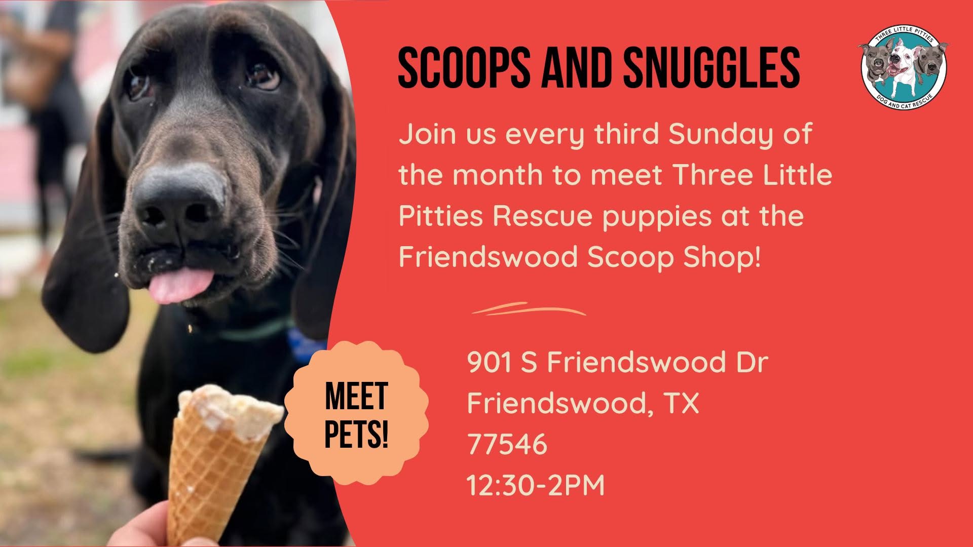 Scoops and Snuggles