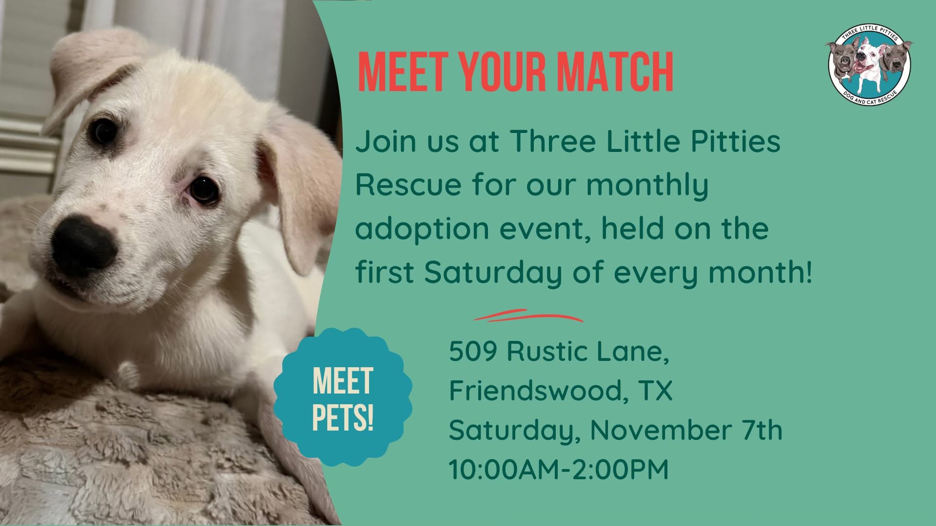 Meet Your Match