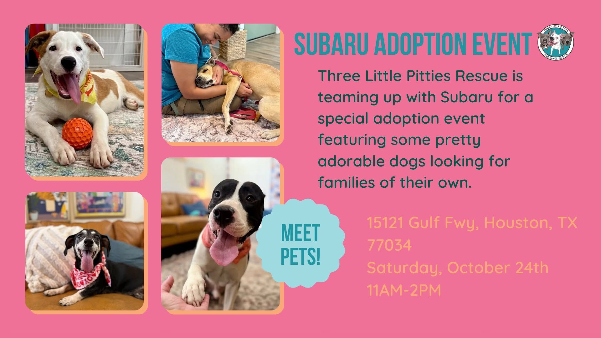 Subaru Adoption Event