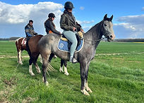 IMG-20260522-WA0044.jpg