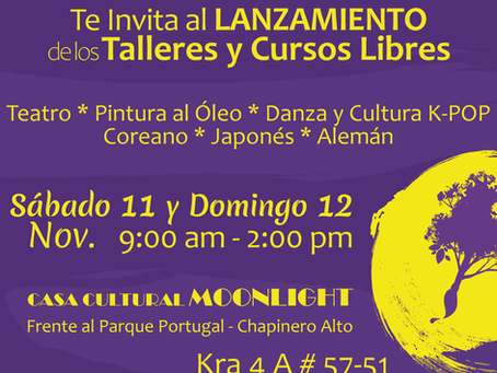 Lanzamiento de los programas de nuestra Academia Arte y Renovación el Sábado11 y Domingo12 de Nov.