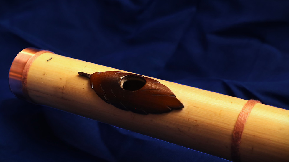 Thumbnail: Tier 3 F (C) Bass Licht Bansuri