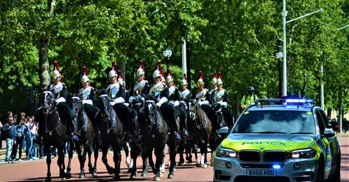 "Tails" of a Mounted Copper in London